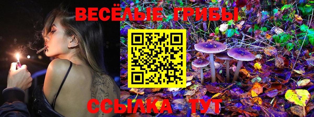 Галлюциногенные грибы Magic Shrooms Заволжье