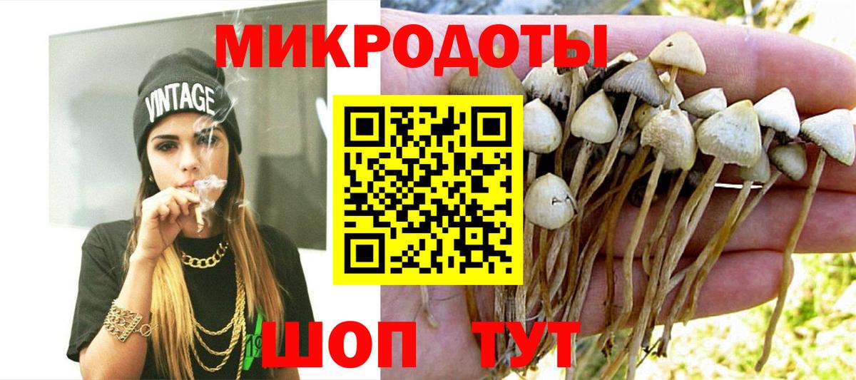 как найти   Галлюциногенные грибы MAGIC MUSHROOMS  Псилоцибиновые грибы Psilocybe  Вход с VPN  Заволжье 