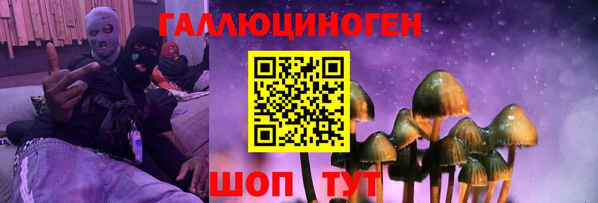 Галлюциногенные грибы Cubensis  Заволжье  Псилоцибиновые грибы ЛСД 