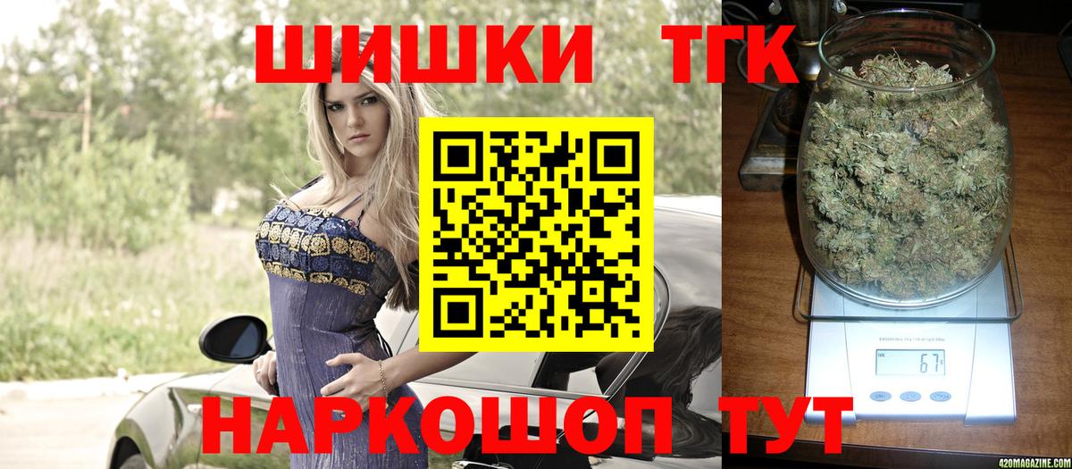 Конопля сатива Заволжье
